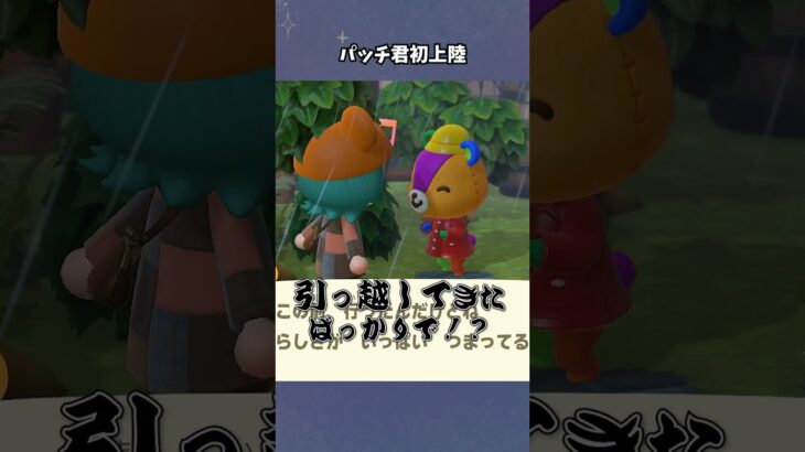 【あつ森】推しが初めて島を歩いた日 #あつ森  #あつまれどうぶつの森  #女性ゲーム実況