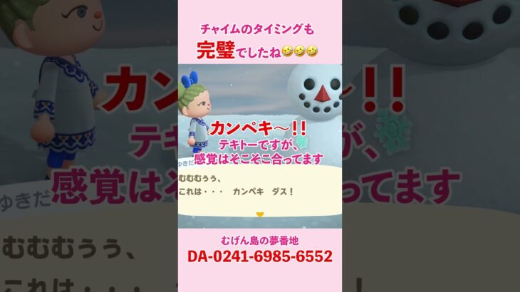 【あつ森】夢番地を更新！まっさらな雪景色の中カンペキ雪だるま完成！お部屋も見てね♪ #あつ森 #あつまれどうぶつの森 #雪だるま  #ゆめみ #部屋