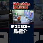 確実に法律を犯していますよね？【あつ森】