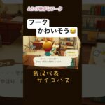 ムシが嫌すぎるフータ[あつ森]