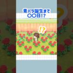 【あつ森】青バラ誕生日まで◯◯日!?