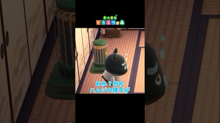 めっちゃ体調悪そうなハムジ【あつまれどうぶつの森】 #あつ森