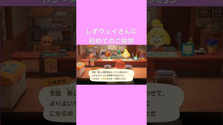 【 あつ森 】これから凄くお世話になるだなも