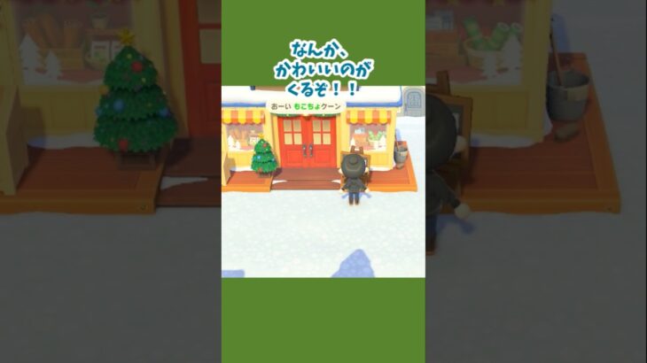 【あつ森】かわいいは正義だと先人は言った（違） #あつ森 #あつ森日記 #あつまれどうぶつの森 #推し活 #ジュン