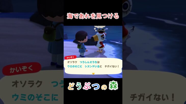 ウミに落とし物があるらしい【あつまれどうぶつの森】#あつ森 #あつまれどうぶつの森