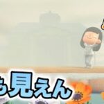 【あつ森】島が真っ白に！？レア天候の霧がすごすぎた！