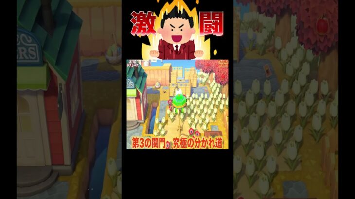 サンクスギビングなのに試練すぎるレース😱#あつ森 #落とし穴レース