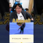 全ての虫をコンプリート!!【ひろちんくん/切り抜き/あつ森】#ひろちんくん #切り抜き #あつ森