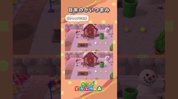 【あつ森】日常のかいつまみ#あつ森 #あつまれどうぶつの森 #ゲーム #ゲーム実況