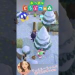 【あつ森】チェルシーちゃんって…逃げ足が早いって知ってた？(笑)