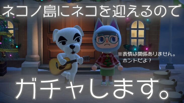 【あつ森】ネコノ島なのでネコ迎えます。