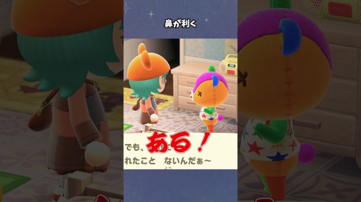 【あつ森】パッチ君はなんでも嗅ぎ分けます！ #あつ森  #あつまれどうぶつの森  #女性ゲーム実況