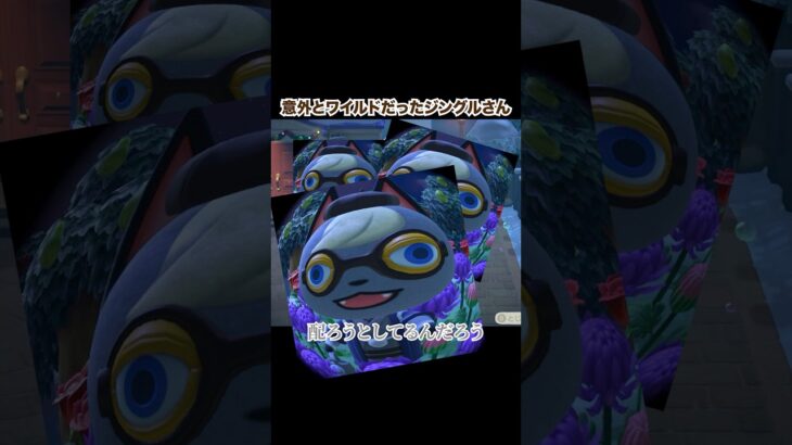 メリークリスマス🎄 #あつ森 #あつまれどうぶつの森 #クリスマス