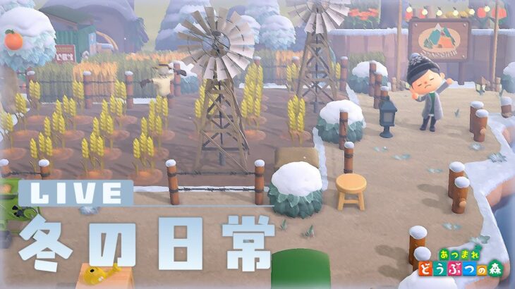 【あつ森】自然な島で過ごす冬の日常とゆるい(？)雑談、クリスマスの飾りつけも回収【アプデまでに家具揃えたい】