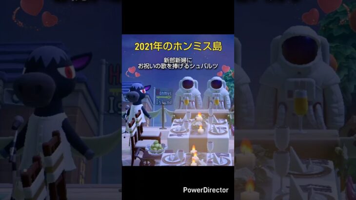 【あつ森】シュバルツが結婚披露宴で歌を歌っていた時の映像 #あつ森 #あつまれどうぶつの森