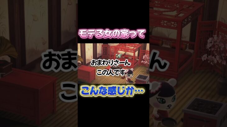 #ゆきドラ #あつまれどうぶつの森 #あつ森