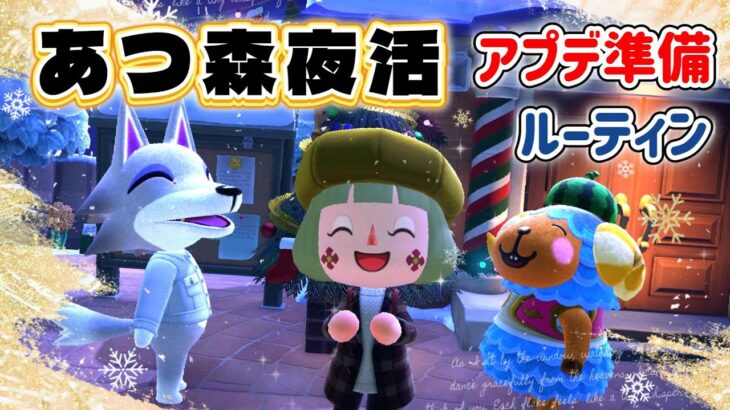 【あつ森】夜活配信｜アプデ準備＆ルーティンをまったりやる♪【メイン島】