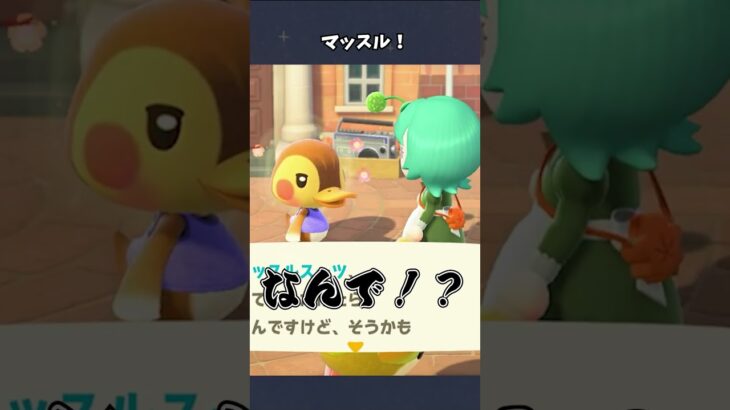 【あつ森】ウッキウキでムッキムキ… #あつ森  #あつまれどうぶつの森  #女性ゲーム実況