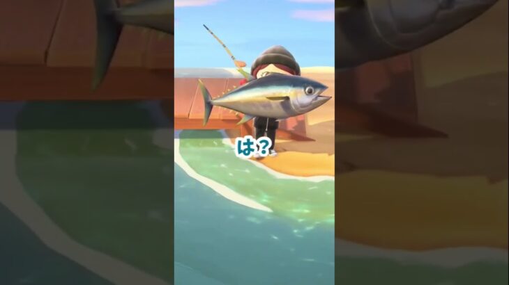 【あつ森】世の中うまくはいかないよね💦でも釣れたのは嬉しい！ #あつ森 #あつ森日記 #あつまれどうぶつの森 #配信外あるある😂