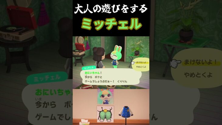 【あつ森】プレイヤーと大人のゲームをするミッチェルくん #あつまれどうぶつの森 #あつ森