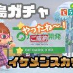 【あつ森】イケメン縛りの離島ガチャであのキャラスカウト！