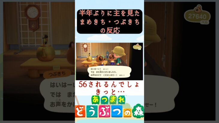 半年ぶりにどうぶつの森に踏み入った末路（あつまれ どうぶつの森） #ゲーム実況 #どうぶつの森 #禁足地