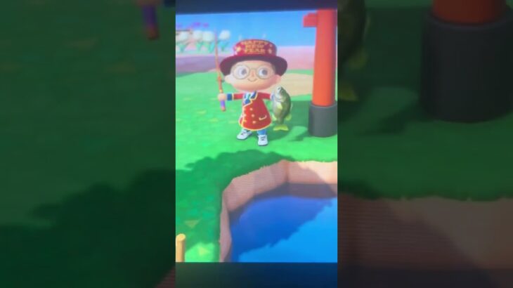 ￼あつ森雷魚をするはずが…￼