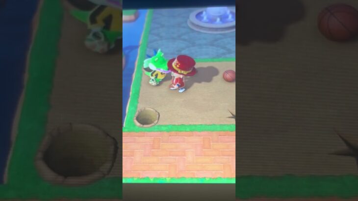 住民の閉じ込め方あつ森