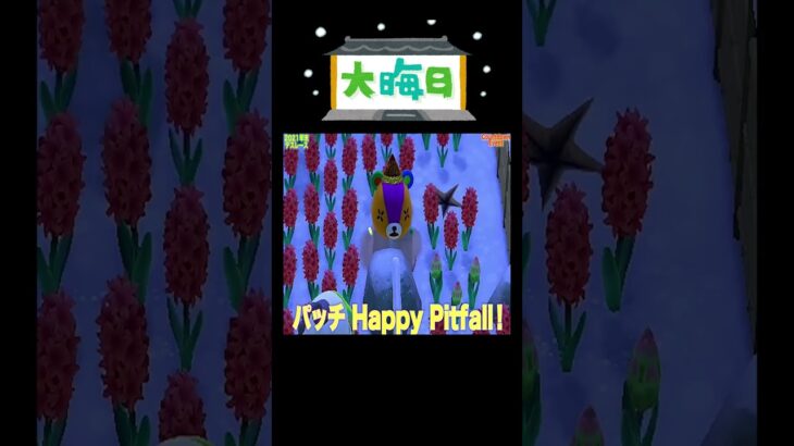 年末カウントダウンに間に合うのか⁉️落とし穴レース⏳#あつ森 #落とし穴レース