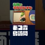 着物でそんな寝方すな【あつ森】