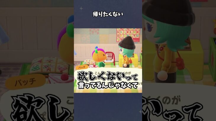 【あつ森】パッチ君の部屋に住んでいいってこと！？ #あつ森  #あつまれどうぶつの森  #女性ゲーム実況