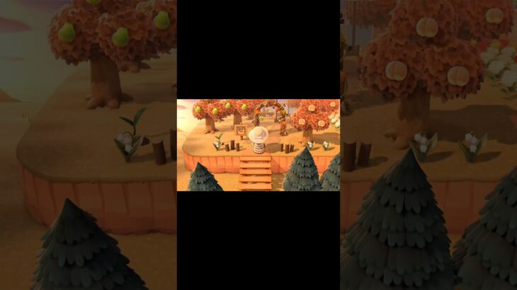 果樹園につながる道🌲🍑#あつ森 #あつまれどうぶつの森 #あつもり #果物 #島