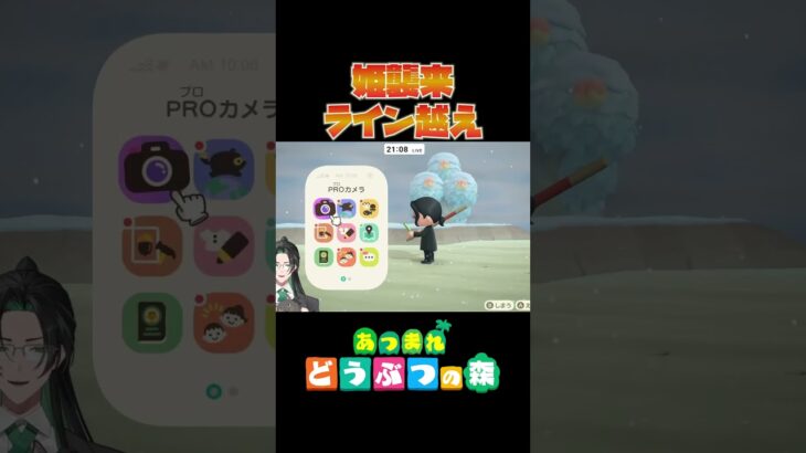 【あつ森】姫襲来ライン越え【切り抜き】