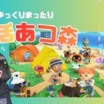 【あつ森】大根煮ている間のあつ森