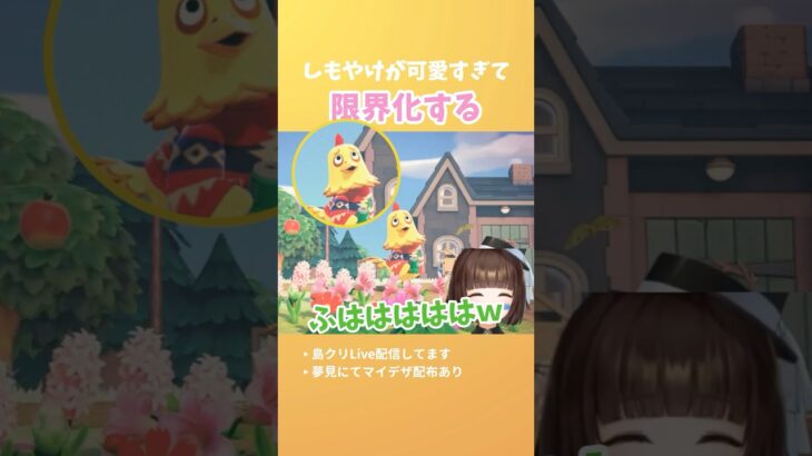 【あつ森】しもやけが可愛すぎて限界化する！