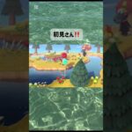 #あつ森 #あつ森vlog #ゲーム #あつまれどうぶつの森