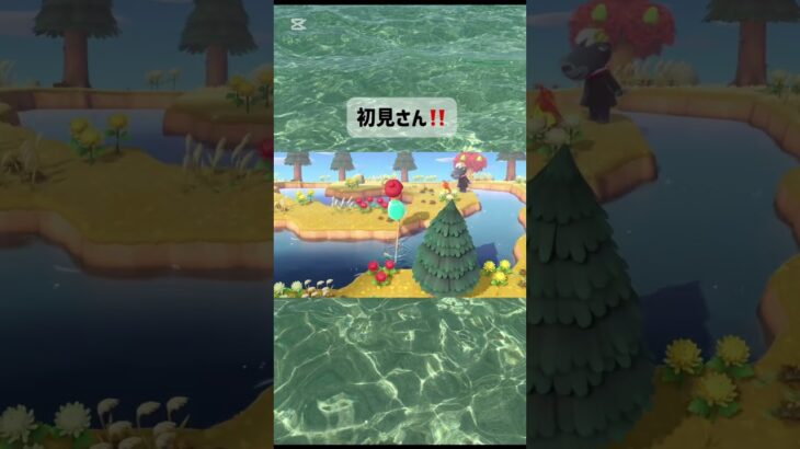 #あつ森 #あつ森vlog #ゲーム #あつまれどうぶつの森