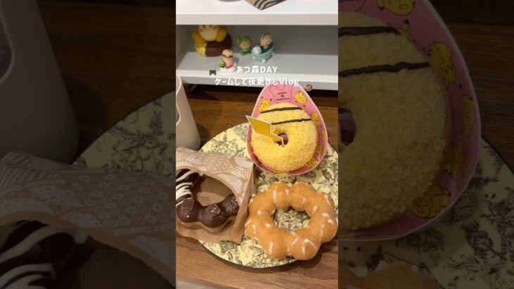 ゲームして夜更かしする日🎮🌉 #vlog #あつ森