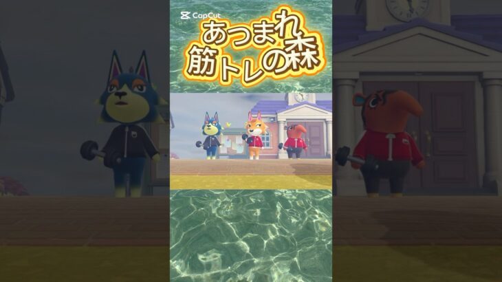 #あつ森 #あつ森vlog #ゲーム #あつまれどうぶつの森