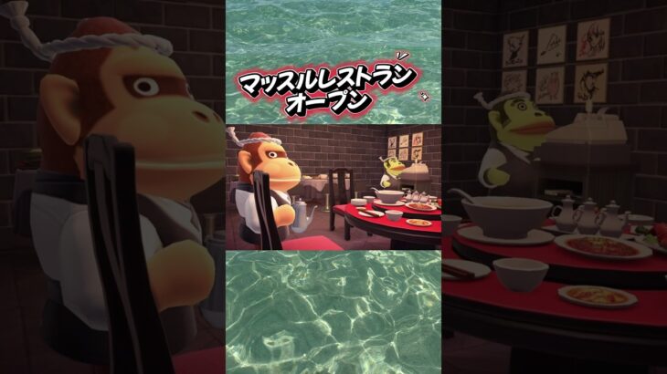 #あつ森 #あつ森vlog #あつまれどうぶつの森 #ゲーム #ハッピーホームパラダイス