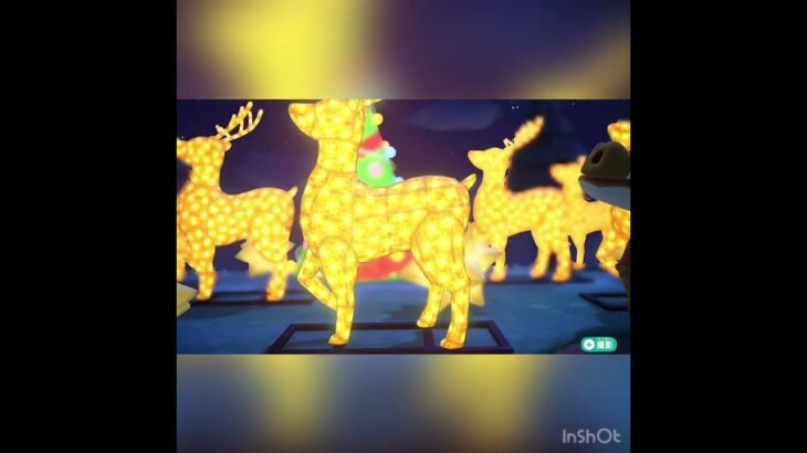 【あつ森】メリークリスマス　#vlog #あつ森 #あつまれどうぶつの森 #こはくちゃんねる2424