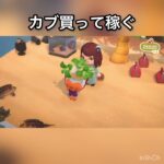 【あつ森】カブ売ってみた　結果　ベル稼ぐ　#vlog #あつ森 #あつまれどうぶつの森 #こはくちゃんねる2424