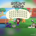 【あつ森】毎日カブ売ってみた　結果　ベル稼ぐ　#vlog #あつ森 #あつまれどうぶつの森 #こはくちゃんねる2424