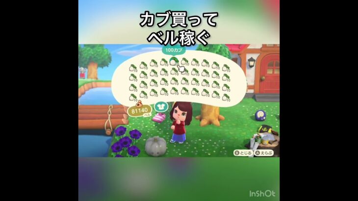 【あつ森】毎日カブ売ってみた　結果　ベル稼ぐ　#vlog #あつ森 #あつまれどうぶつの森 #こはくちゃんねる2424