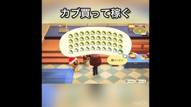 【あつ森】カブ売ってみた　結果　ベル稼ぐ　#vlog #あつ森 #あつまれどうぶつの森 #こはくちゃんねる2424