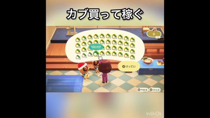 【あつ森】カブ売ってみた　結果　ベル稼ぐ　#vlog #あつ森 #あつまれどうぶつの森 #こはくちゃんねる2424