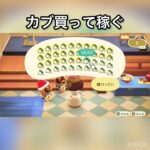 【あつ森】カブ売ってみた　結果　ベル稼ぐ　#vlog #あつ森 #あつまれどうぶつの森 #こはくちゃんねる2424