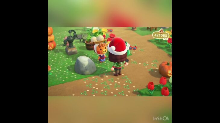 【あつ森】毎日カブ売ってみた　結果　ベル稼ぐ　#vlog #あつ森 #あつまれどうぶつの森 #こはくちゃんねる2424