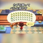 【あつ森】カブ売ってみた　結果　ベル稼ぐ　#vlog #あつ森 #あつまれどうぶつの森 #こはくちゃんねる2424