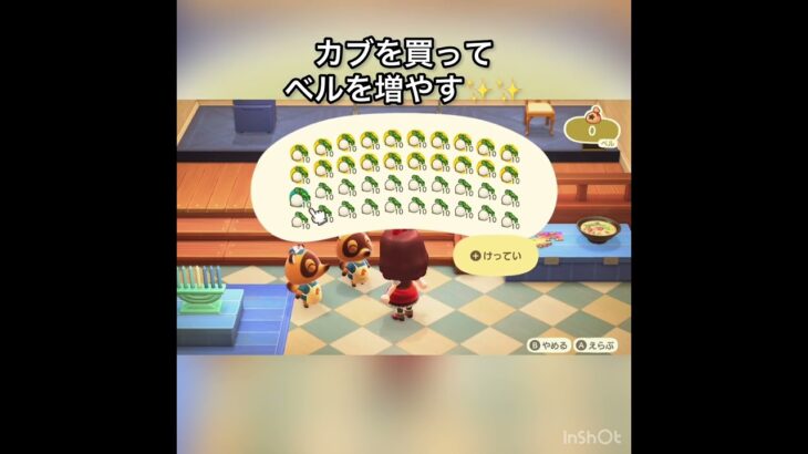 【あつ森】カブ売ってみた　結果　ベル稼ぐ　#vlog #あつ森 #あつまれどうぶつの森 #こはくちゃんねる2424